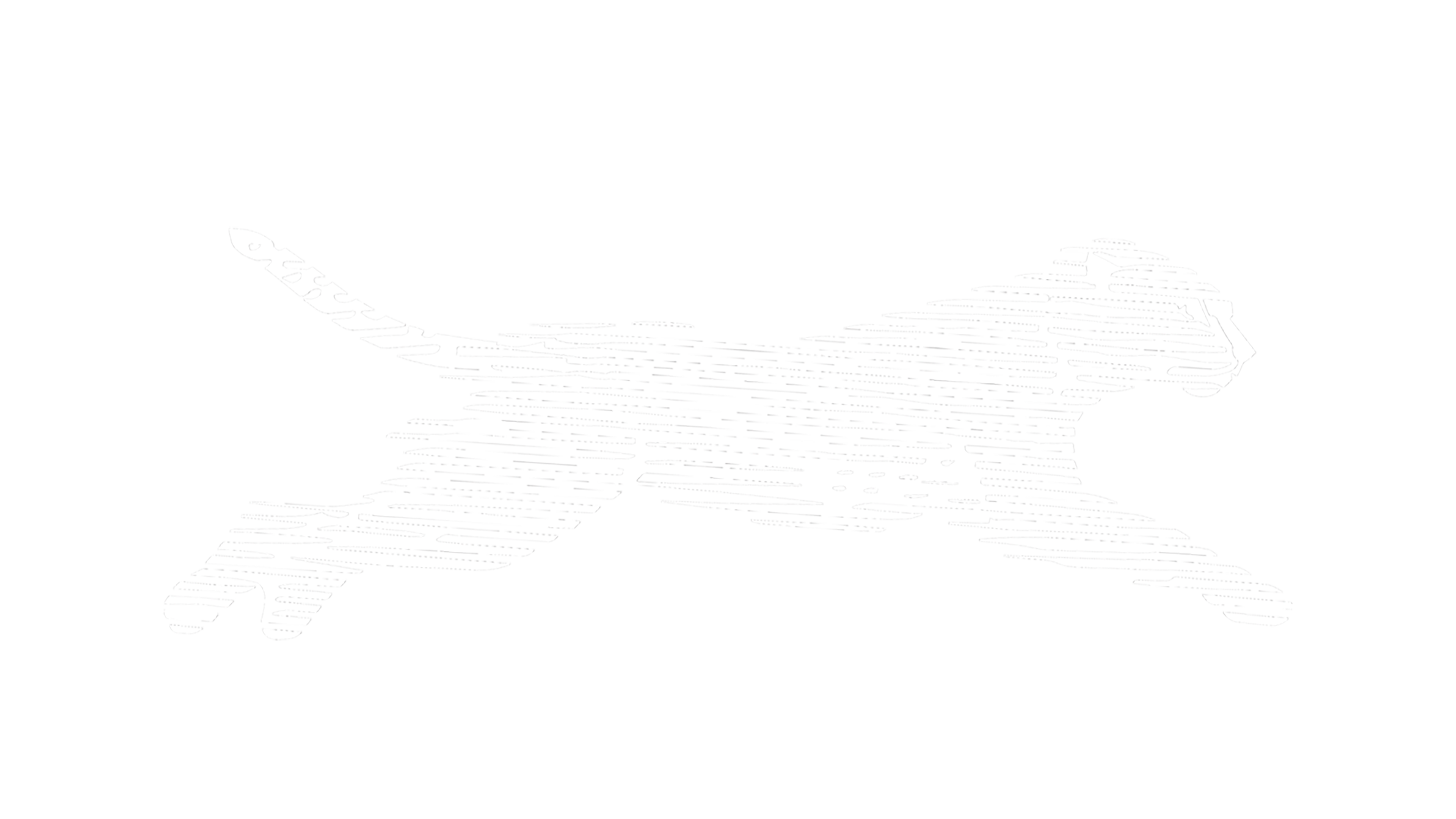Lawn Cheetahs logo
